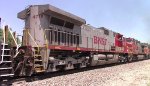 BNSF warbonnet duo